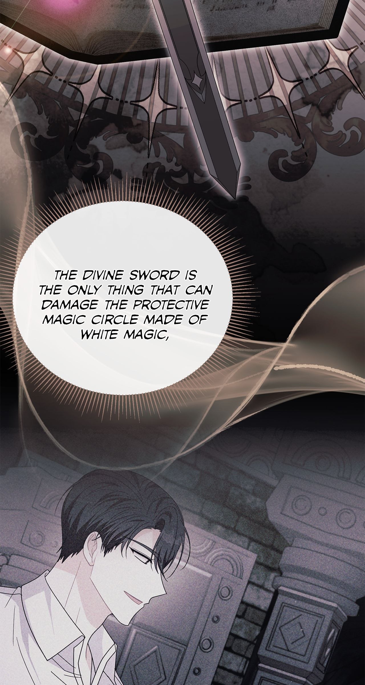 No, I Only Charmed the Princess! Chapter 34 - Page 28