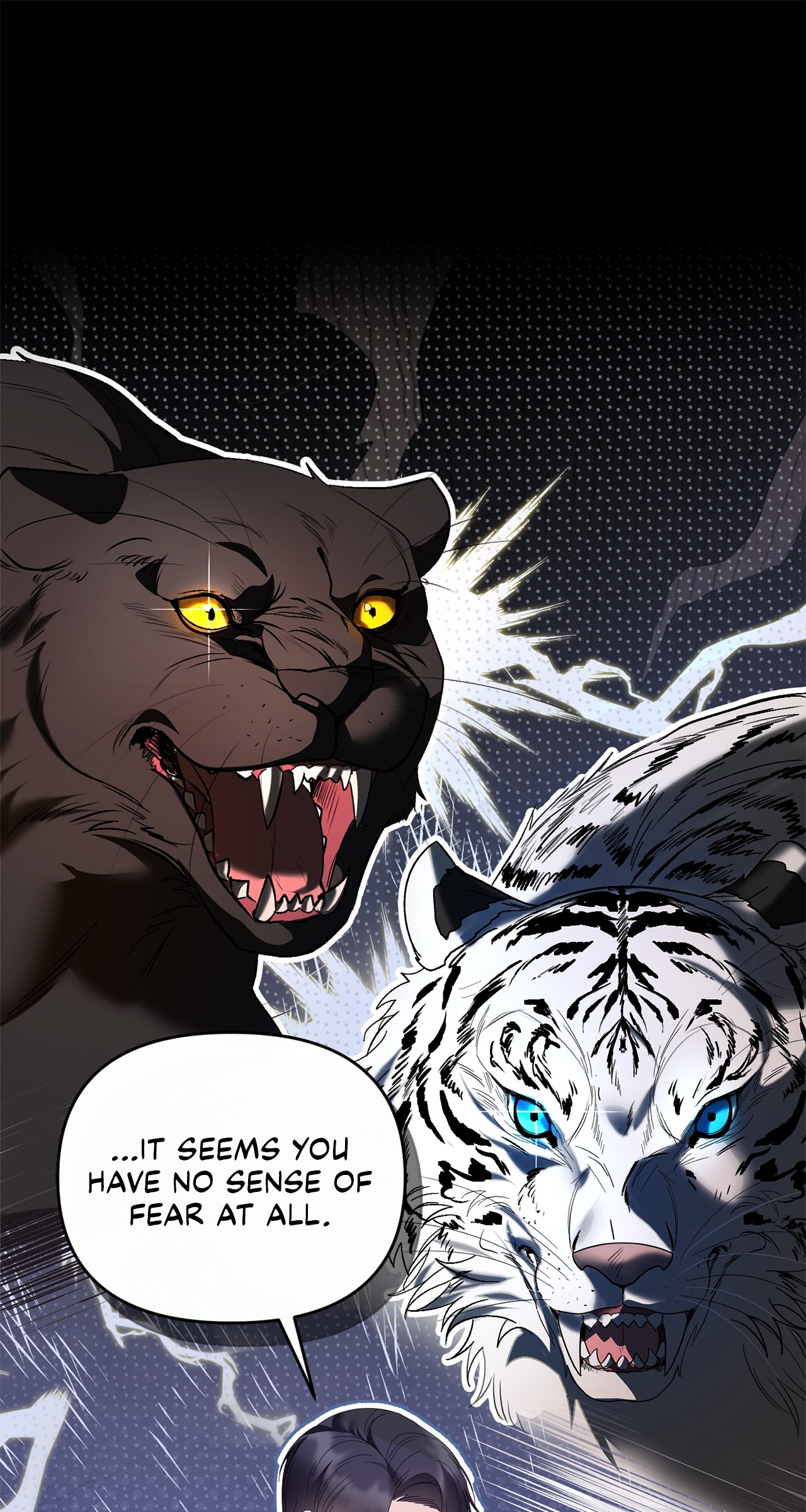 No, I Only Charmed the Princess! Chapter 5 - Page 79