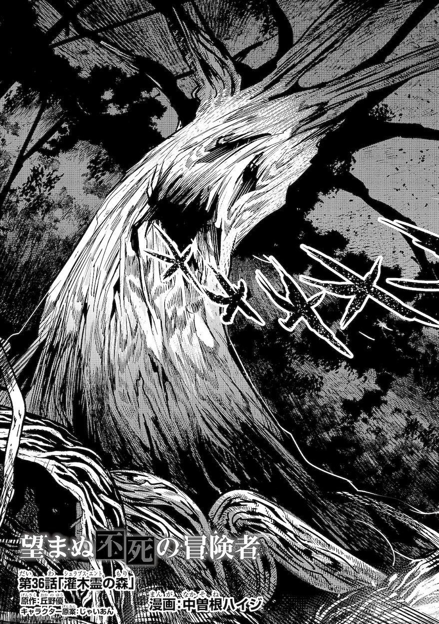Nozomanu Fushi no Boukensha Chapter 36 - Page 3