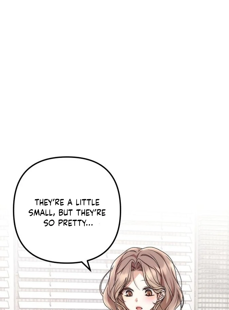 Office Contract Relationship Chapter 5 - Page 72