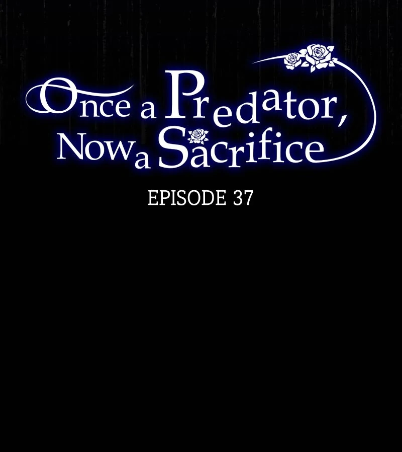 Once a Predator, Now a Sacrifice Chapter 37 - Page 3