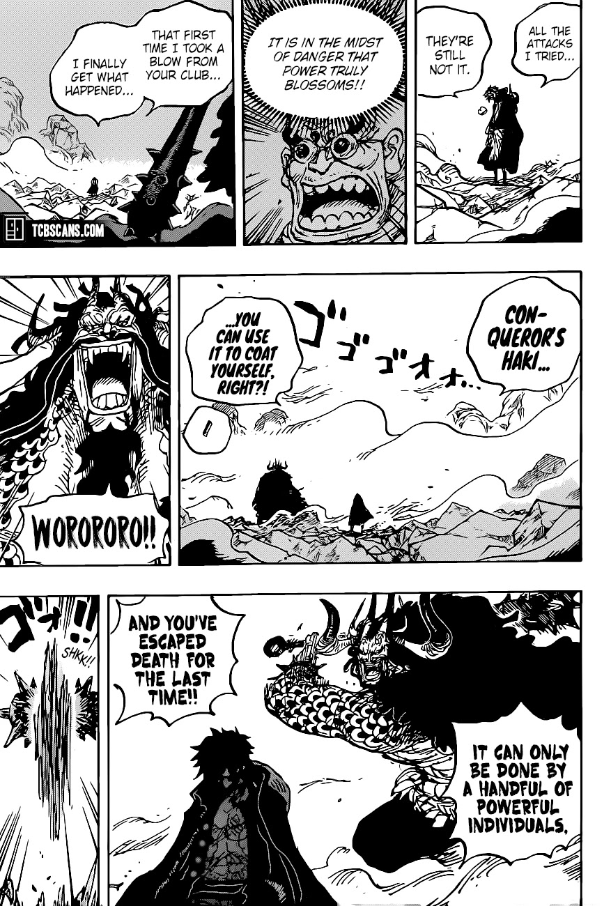 One Piece Chapter 1010 - Page 13