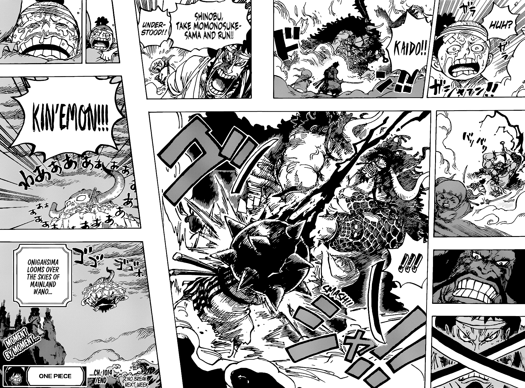 One Piece Chapter 1014 - Page 15
