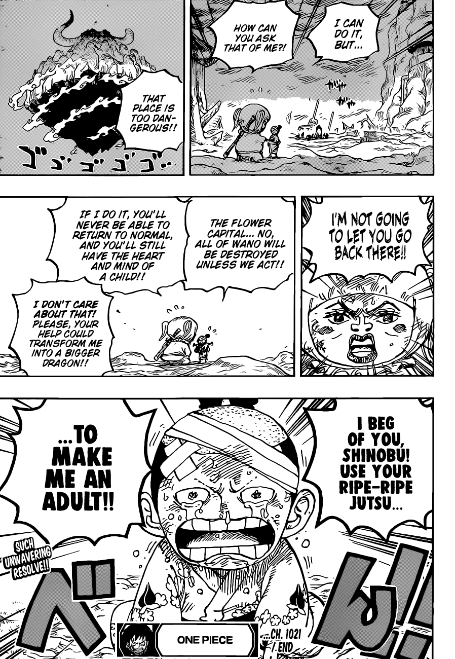 One Piece Chapter 1021 - Page 17