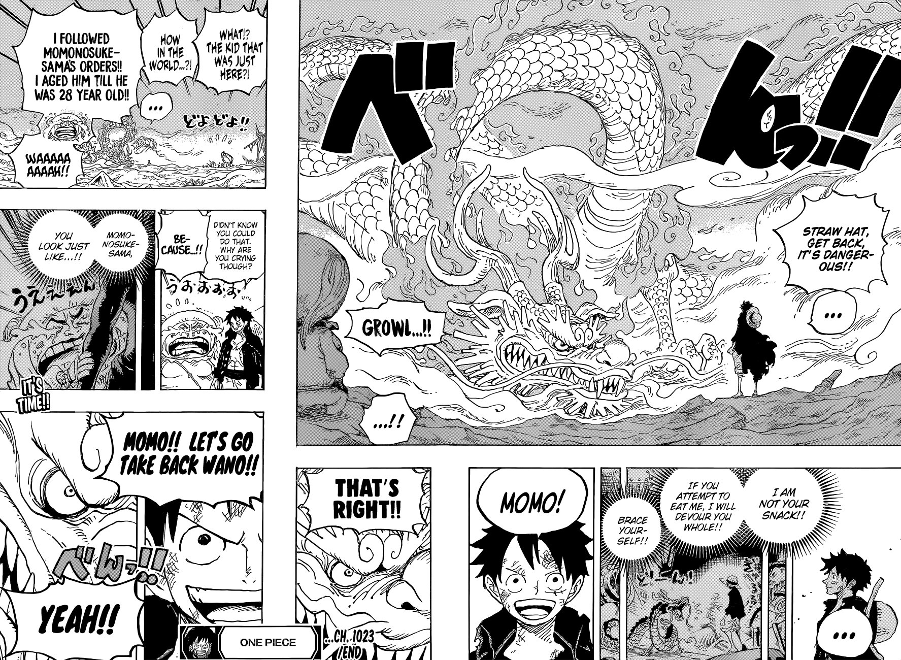 One Piece Chapter 1023 - Page 18