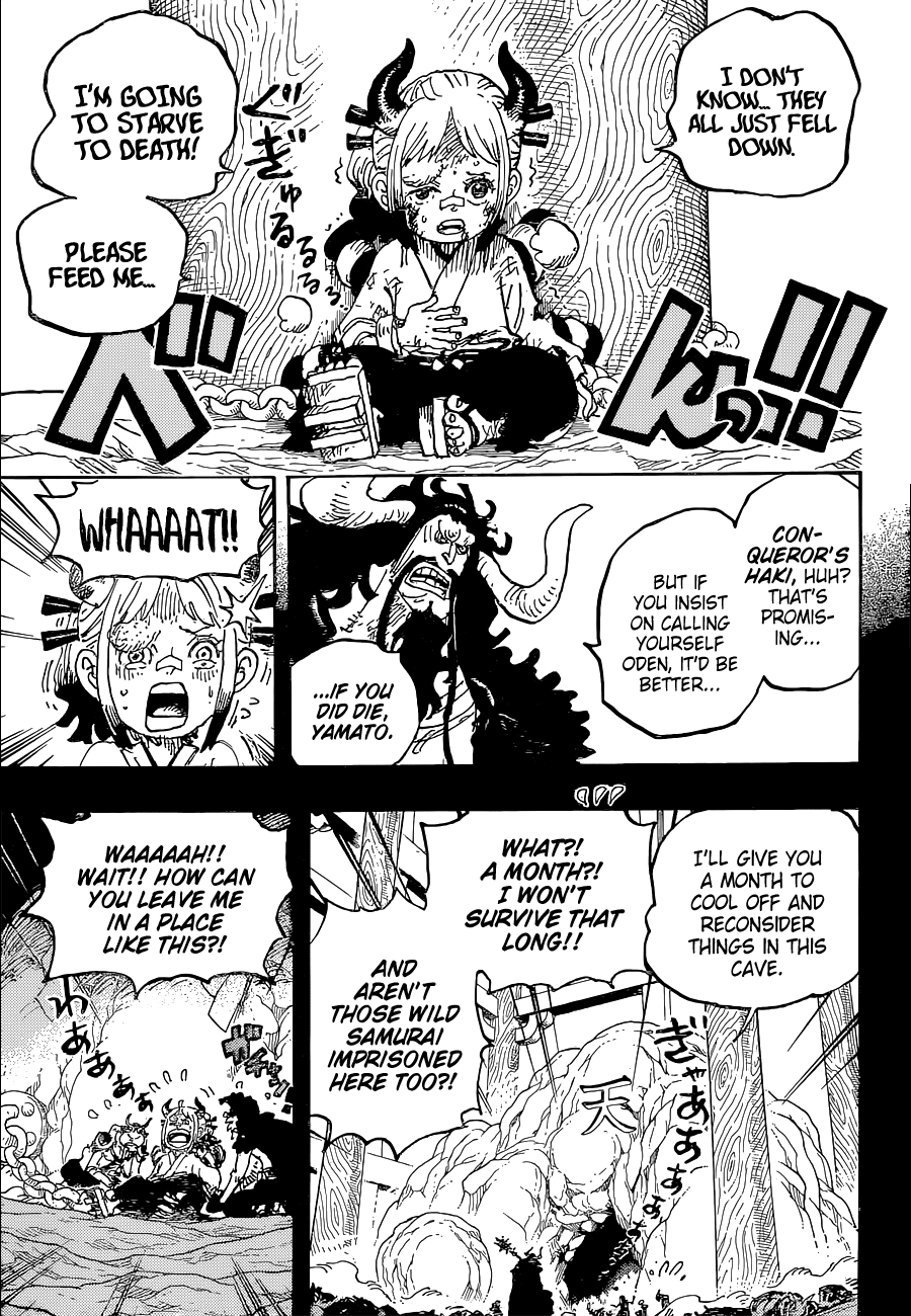 One Piece Chapter 1024 - Page 12