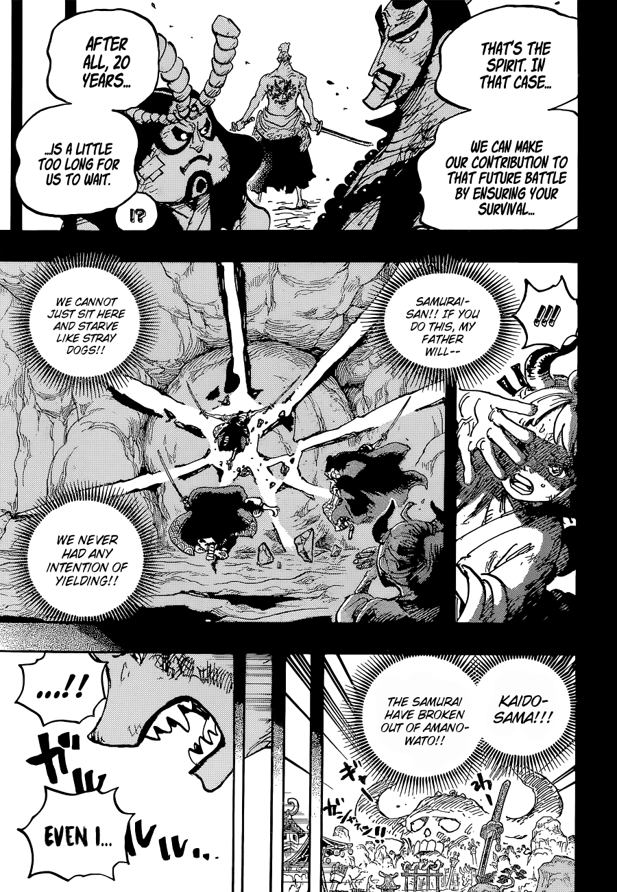 One Piece Chapter 1024 - Page 18