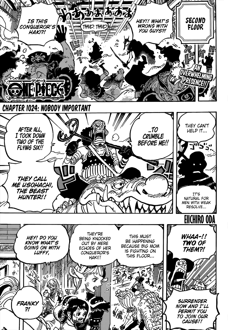 One Piece Chapter 1024 - Page 4