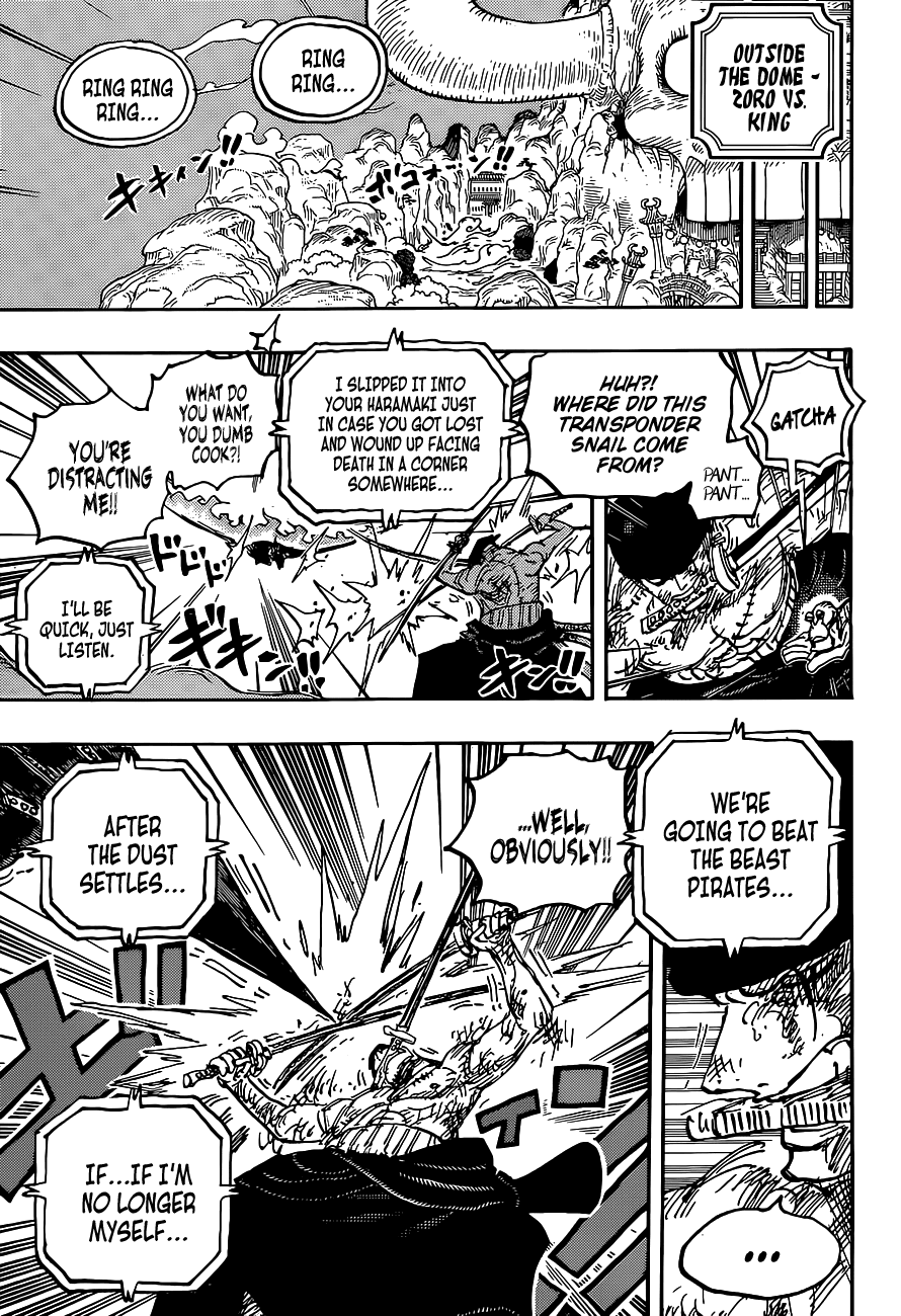 One Piece Chapter 1031 - Page 17