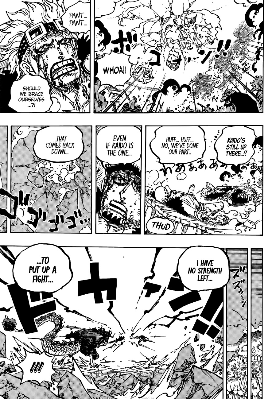 One Piece Chapter 1041 - Page 14