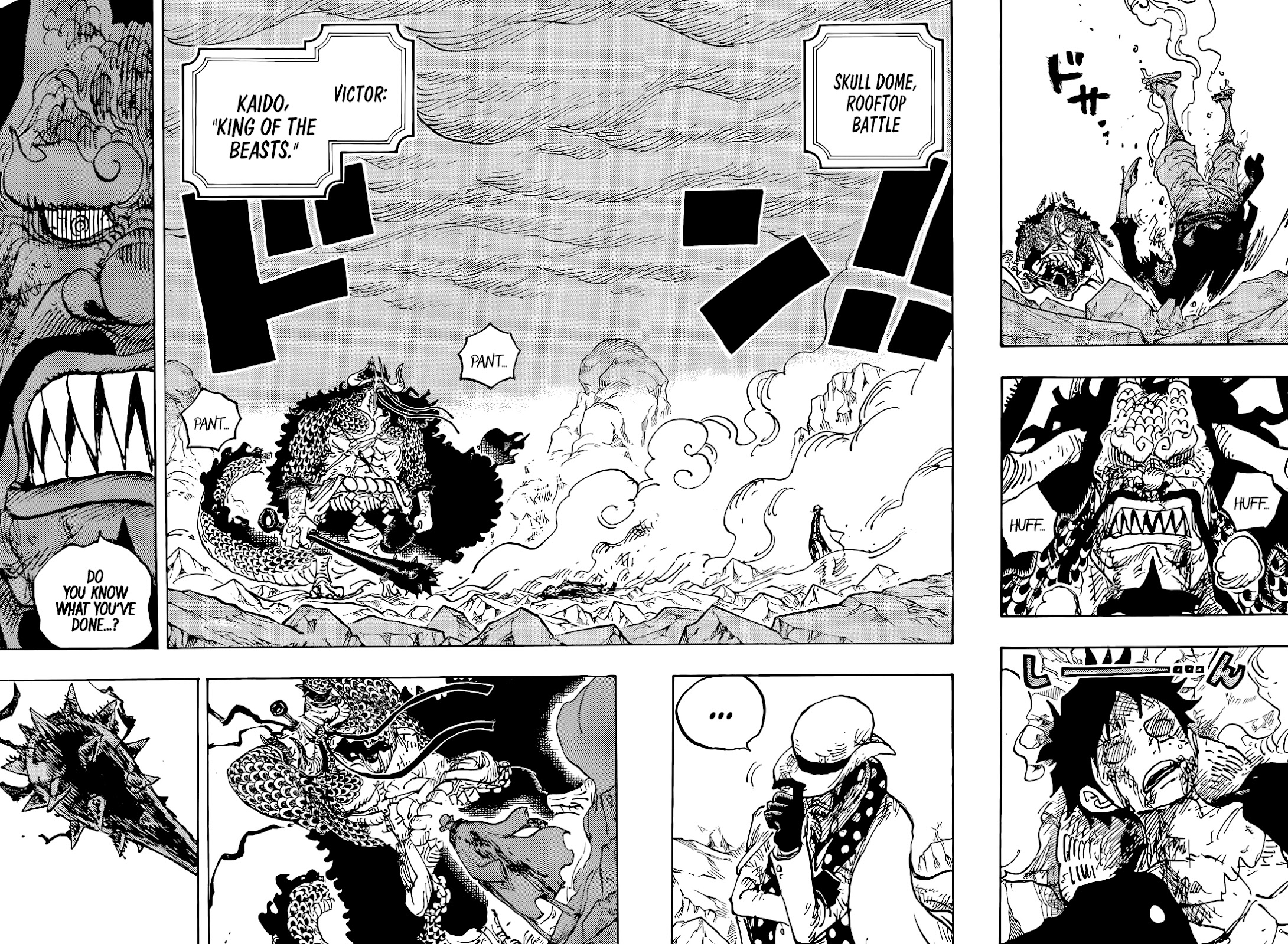 One Piece Chapter 1043 - Page 5
