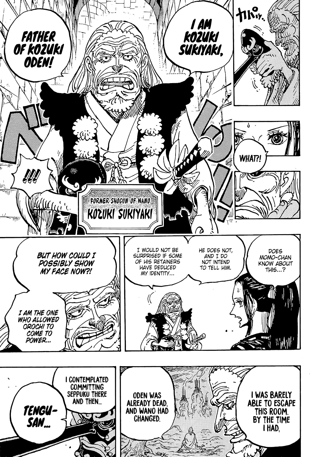 One Piece Chapter 1053 - Page 9