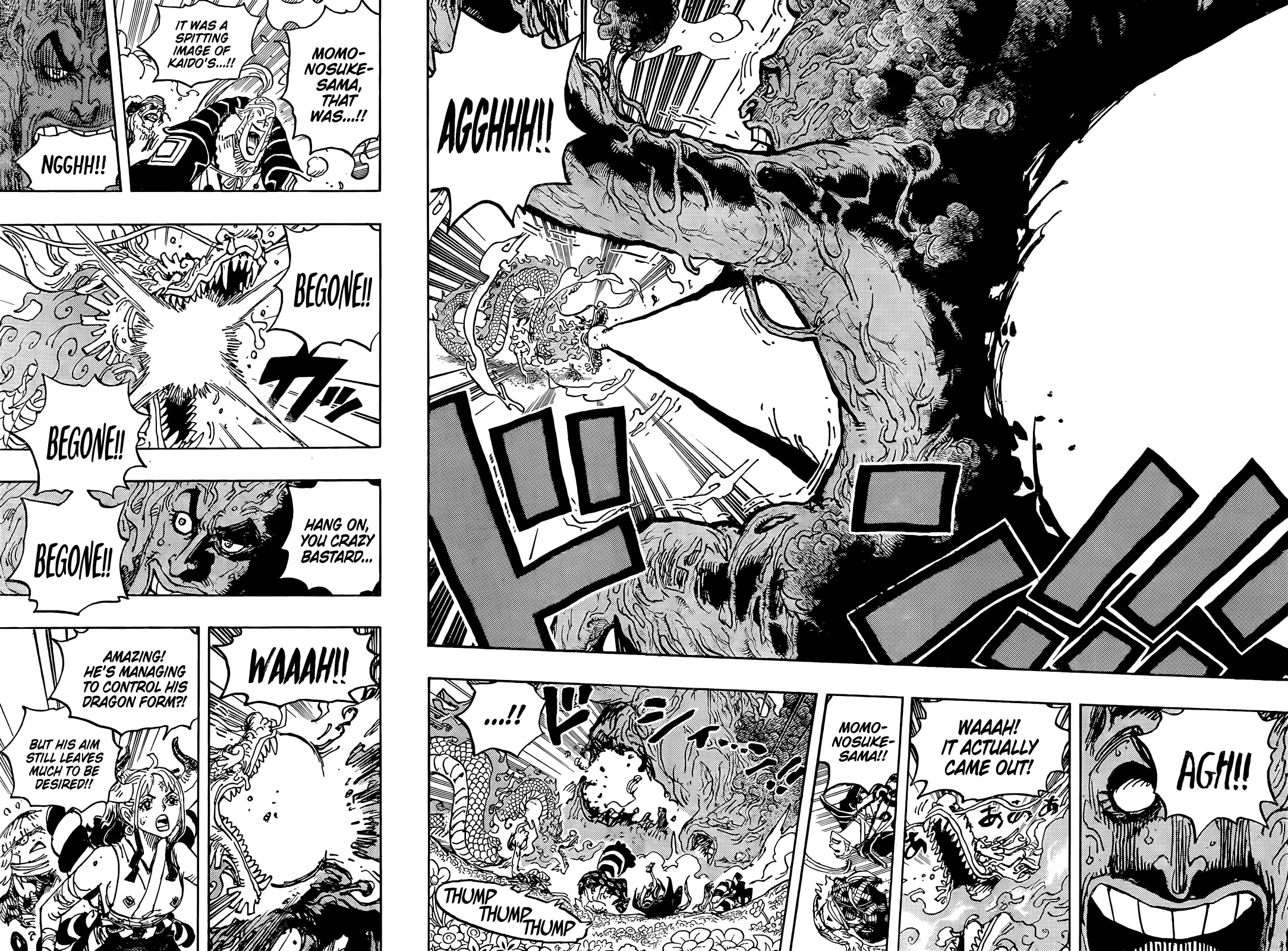 One Piece Chapter 1055 - Page 15