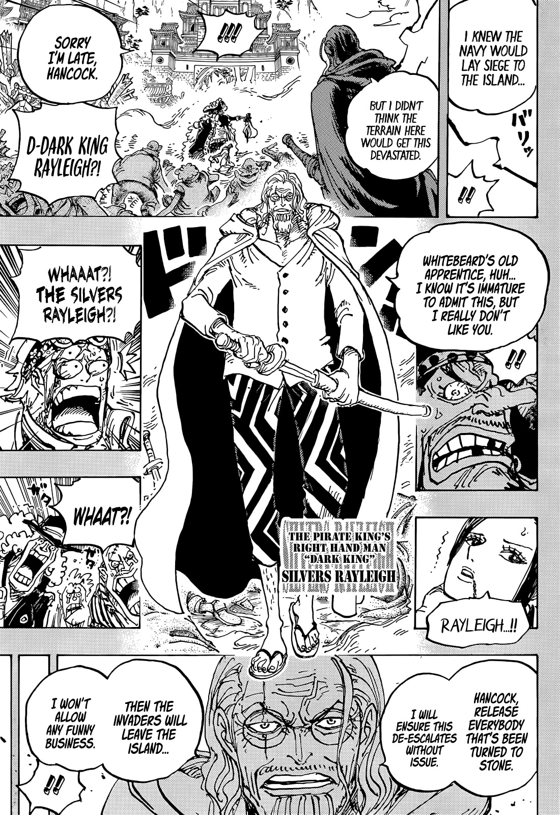 One Piece Chapter 1059 - Page 15