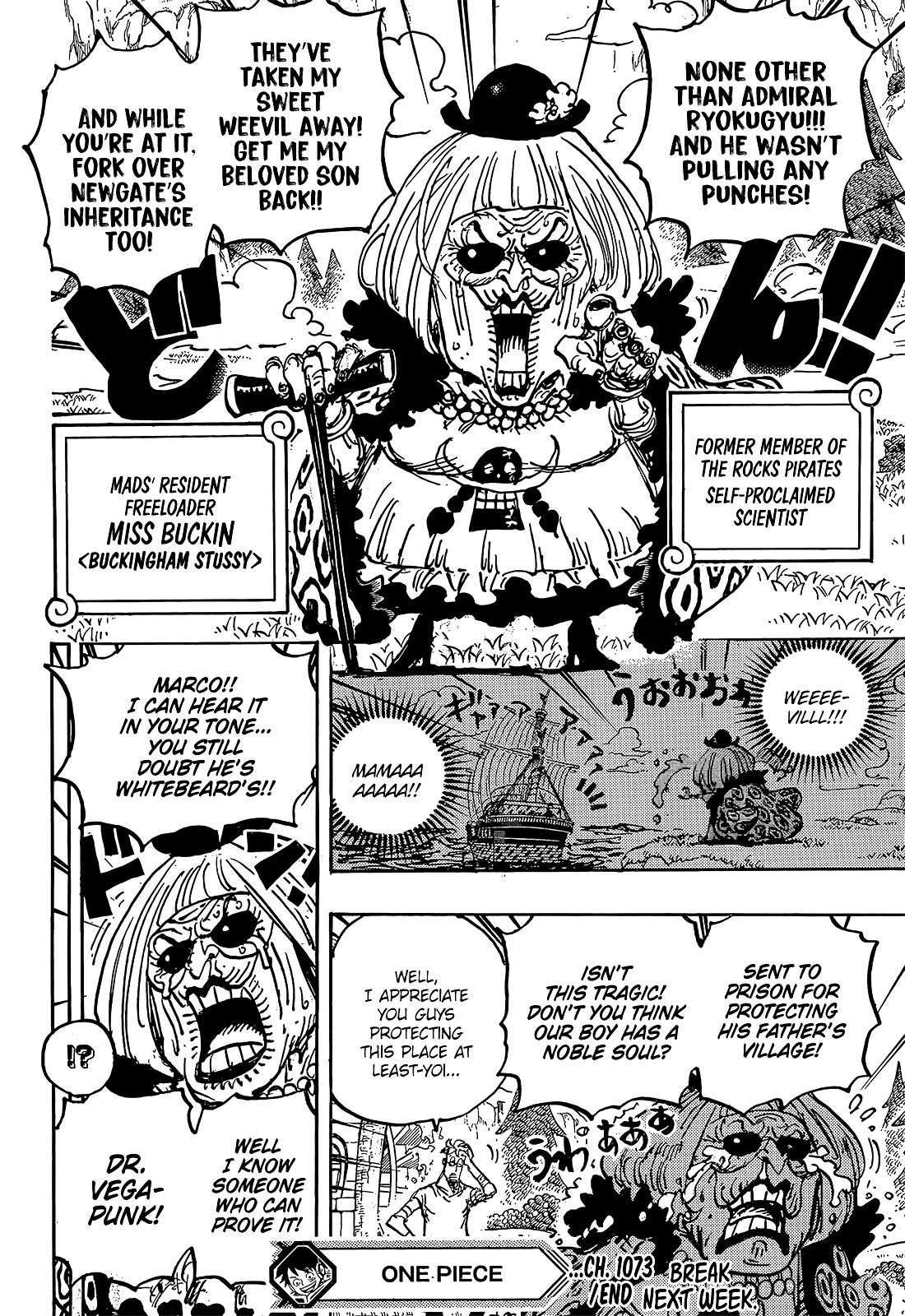 One Piece Chapter 1073 - Page 15