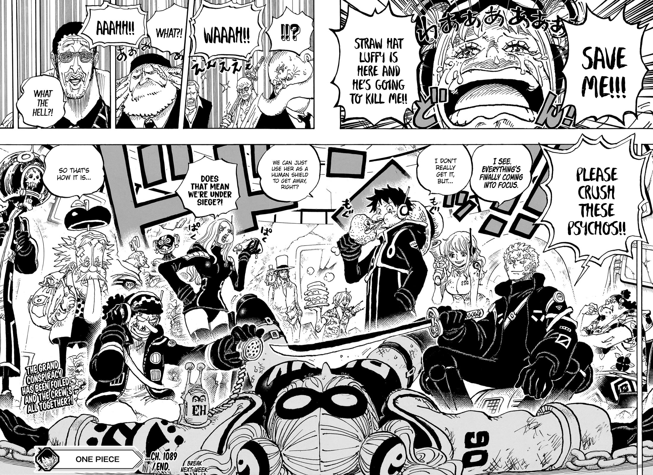 One Piece Chapter 1089 - Page 17