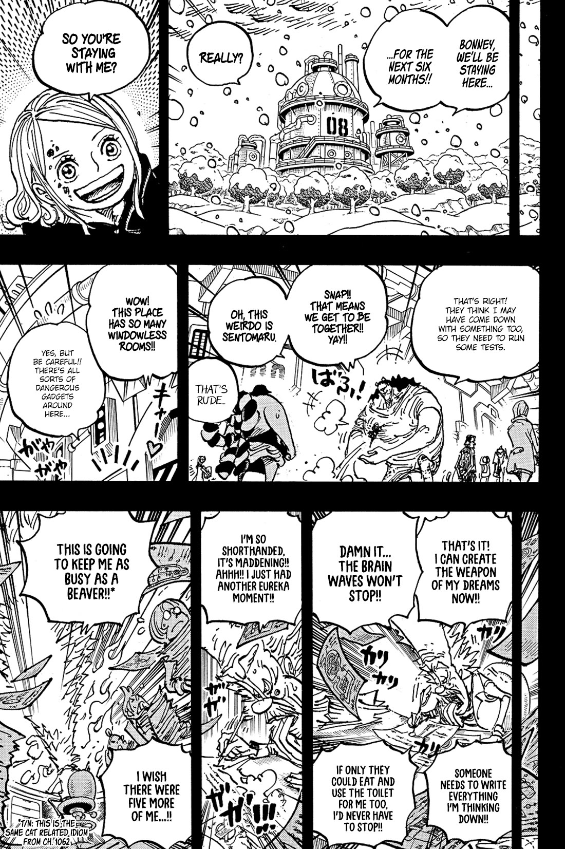One Piece Chapter 1100 - Page 10