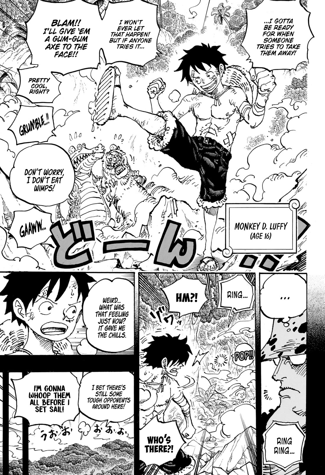 One Piece Chapter 1101 - Page 6