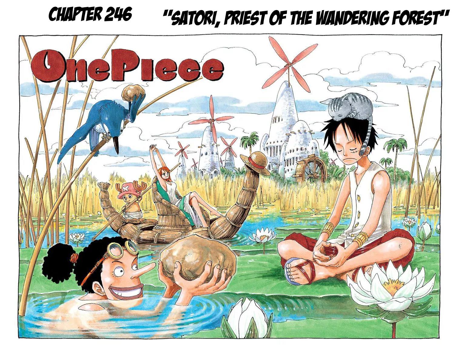 One Piece Chapter 246 - Page 2