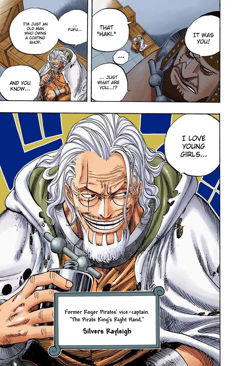 One Piece Chapter 500 - Page 19