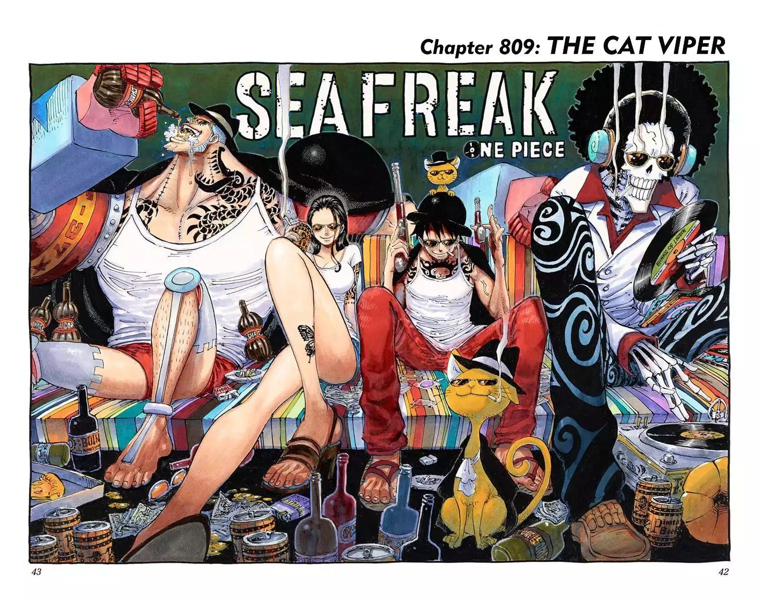 One Piece Chapter 809 - Page 1