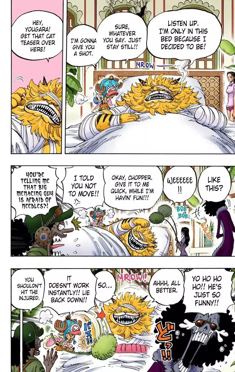One Piece Chapter 814 - Page 15
