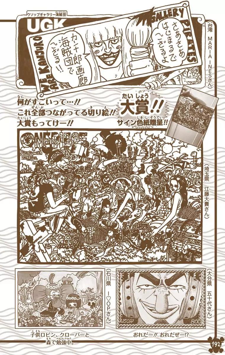 One Piece Chapter 816 - Page 19