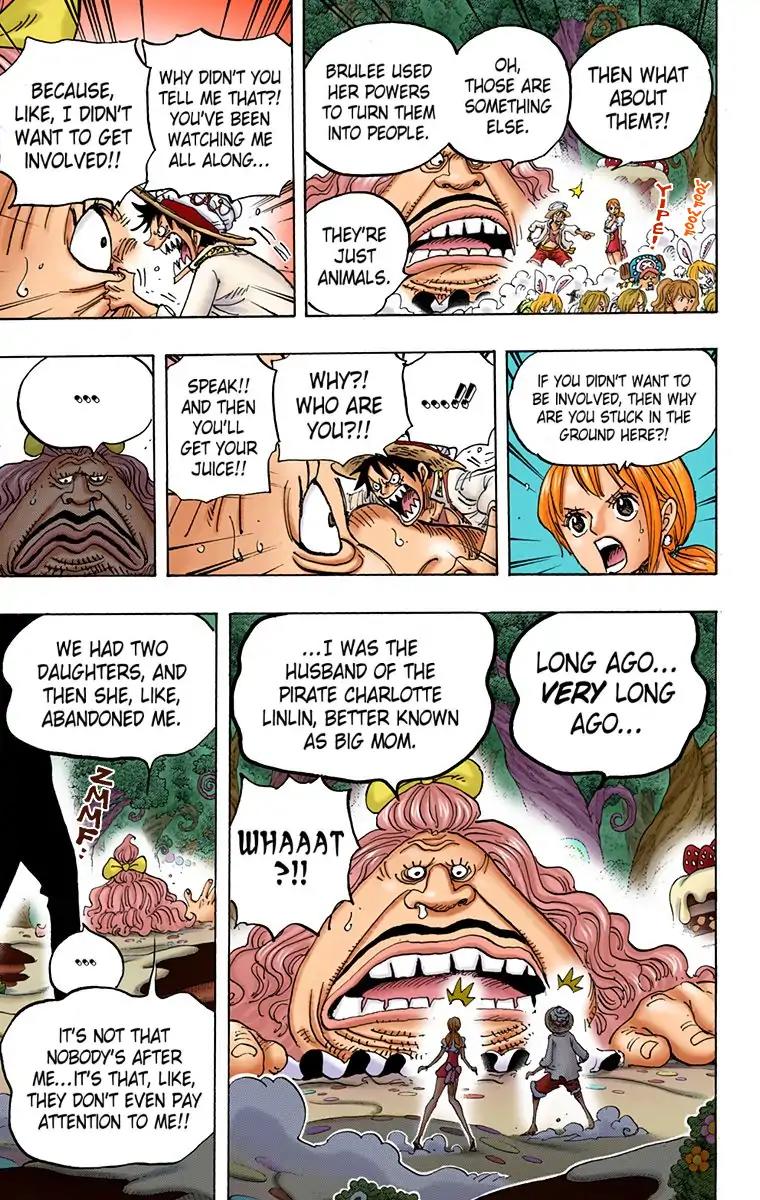 One Piece Chapter 835 - Page 17
