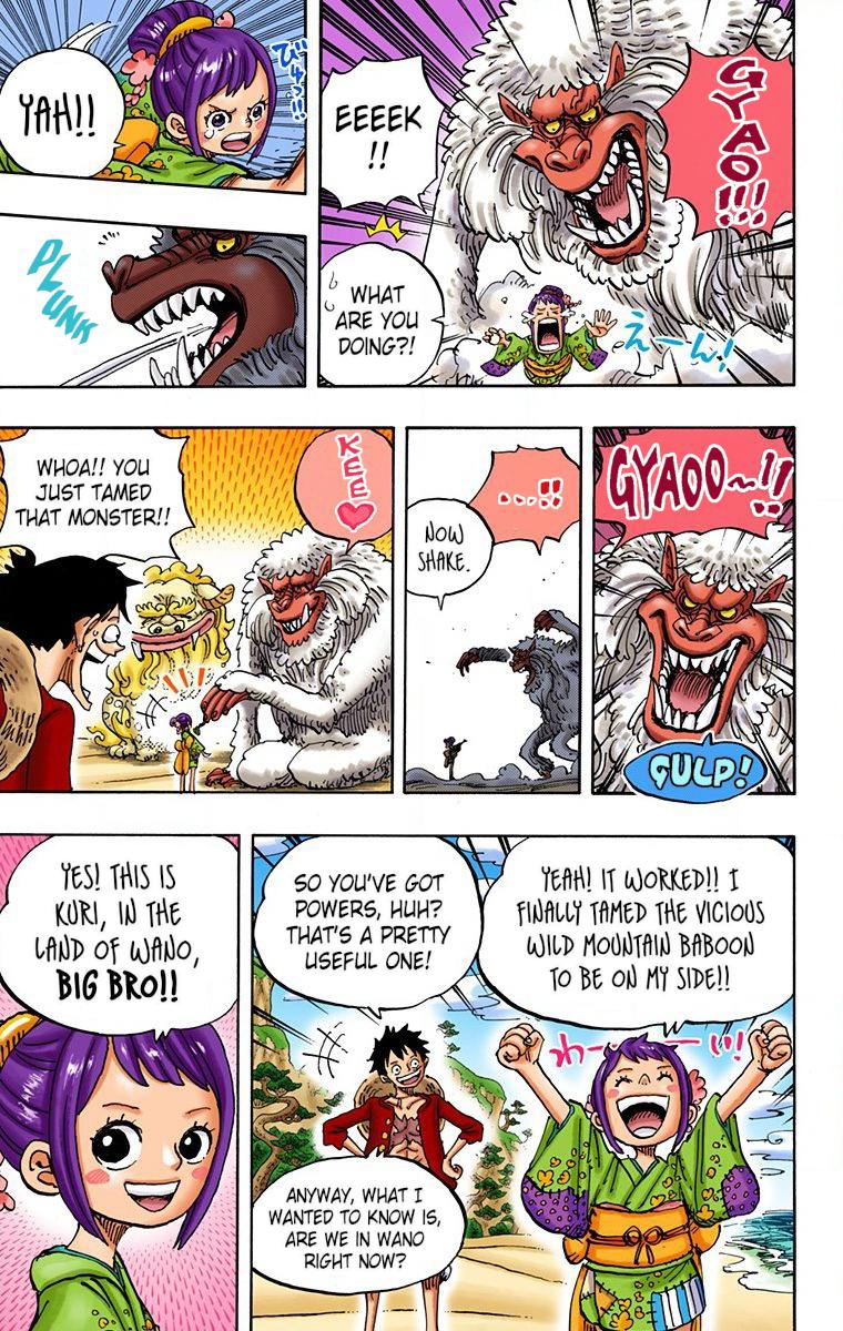 One Piece Chapter 911 - Page 17