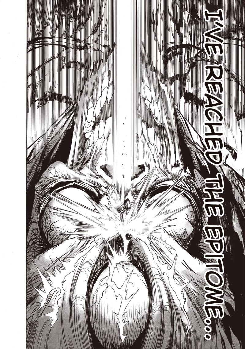 One-Punch Man Chapter 159 - Page 17