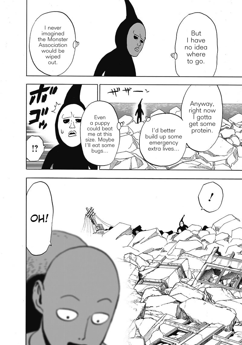 One-Punch Man Chapter 171 - Page 21