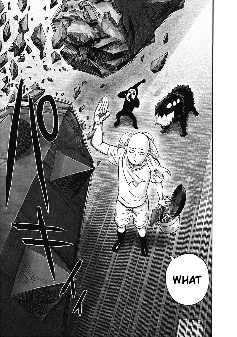 One-Punch Man Chapter 172 - Page 20