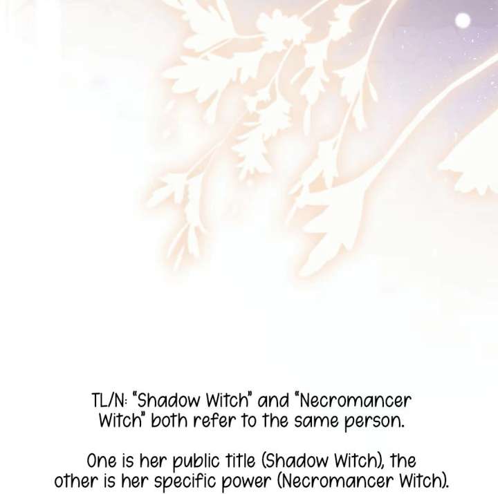 Oops, I Raised the World Destroyer Wrongly Chapter 3 - Page 112