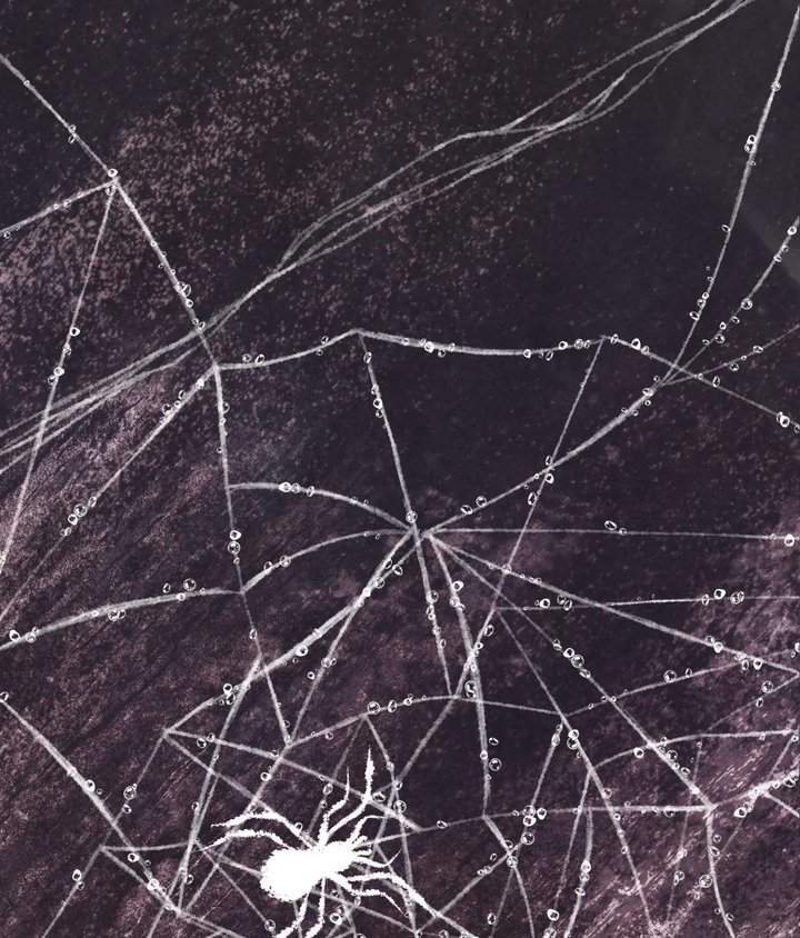 Palace of Euphoria Chapter 16 - Page 158