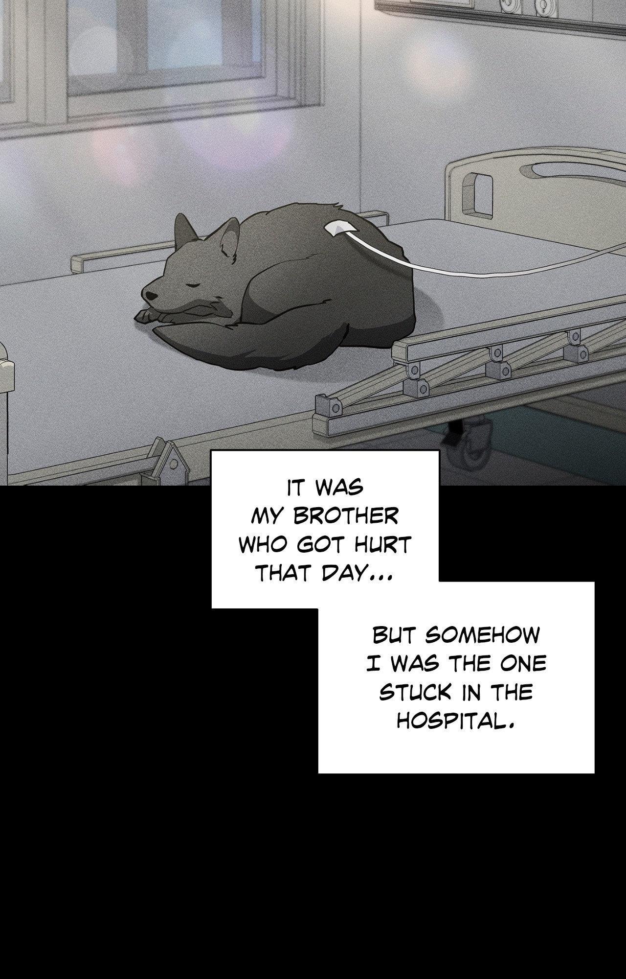 Paws & Claws Chapter 38 - Page 84