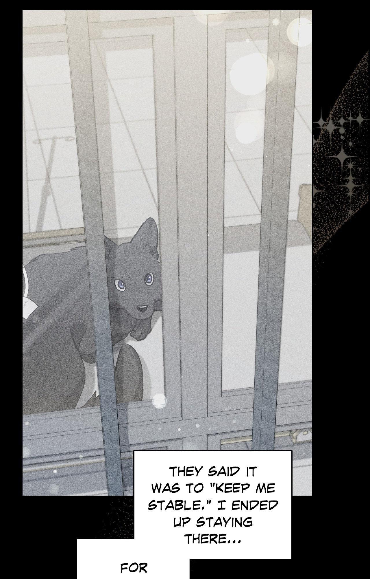 Paws & Claws Chapter 38 - Page 85