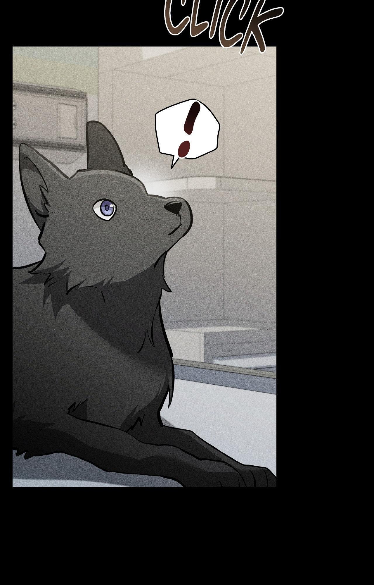 Paws & Claws Chapter 38 - Page 88