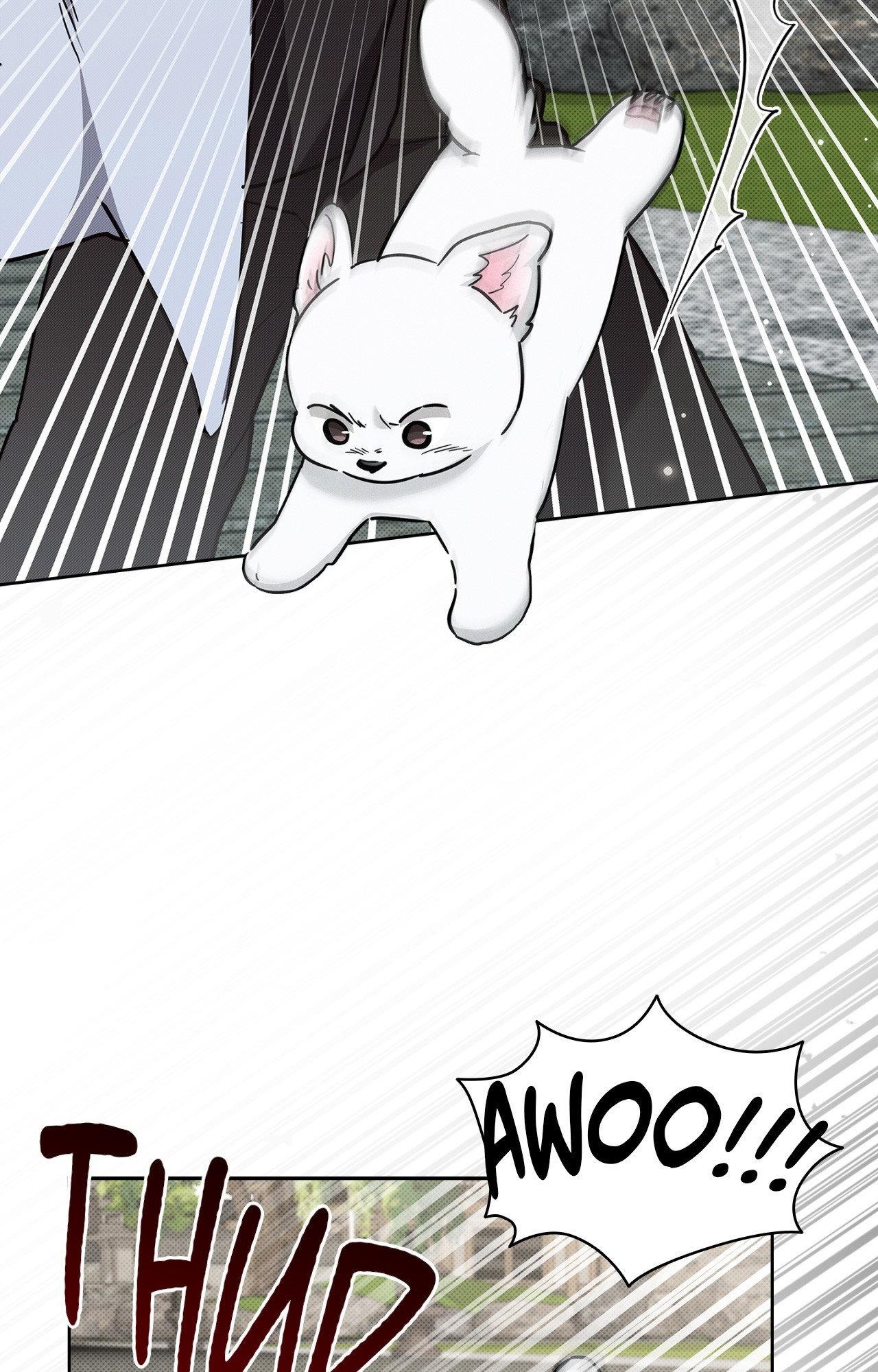 Paws & Claws Chapter 40 - Page 5