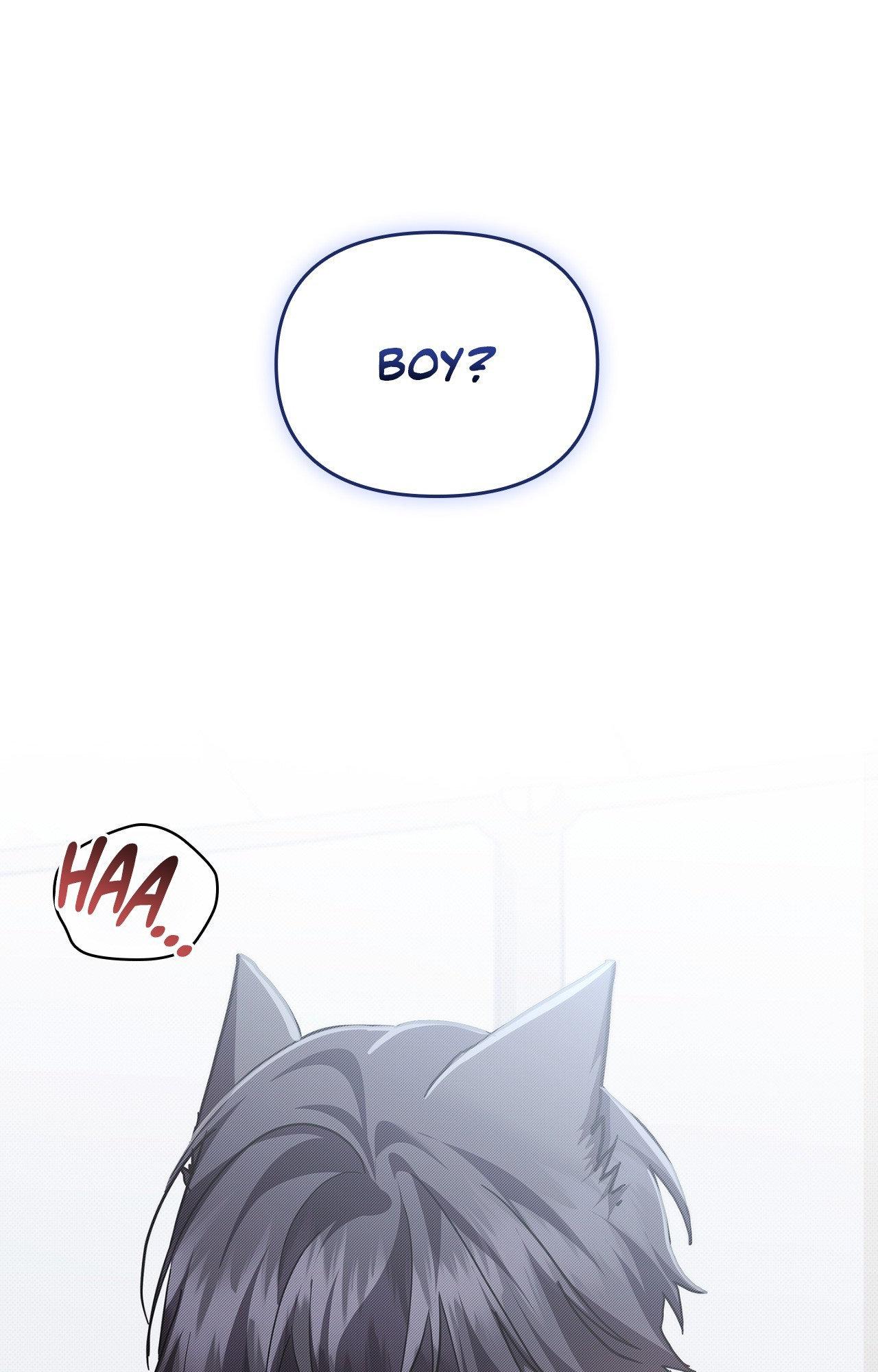 Paws & Claws Chapter 43 - Page 0