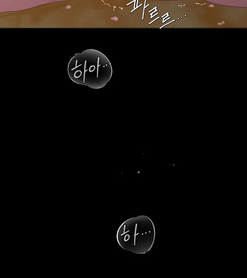 Peach Blossom Scent Chapter 1 - Page 13