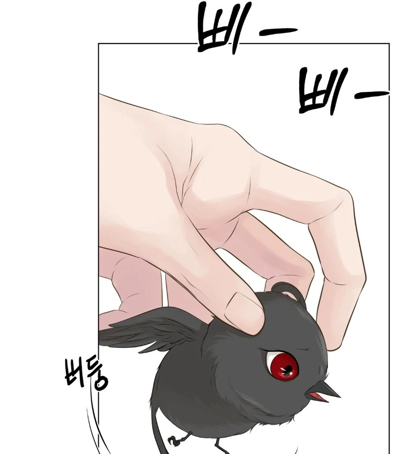 Peach Blossom Scent Chapter 9 - Page 49
