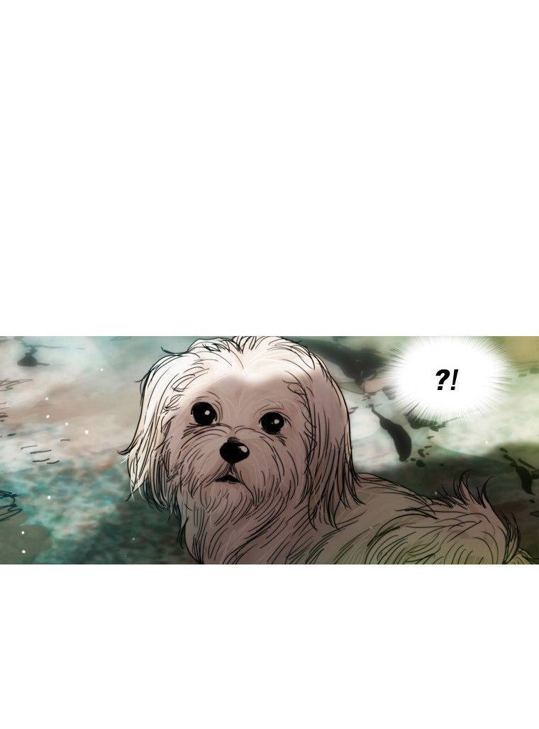Peak (IM Gang-hyeok) Chapter 62 - Page 14