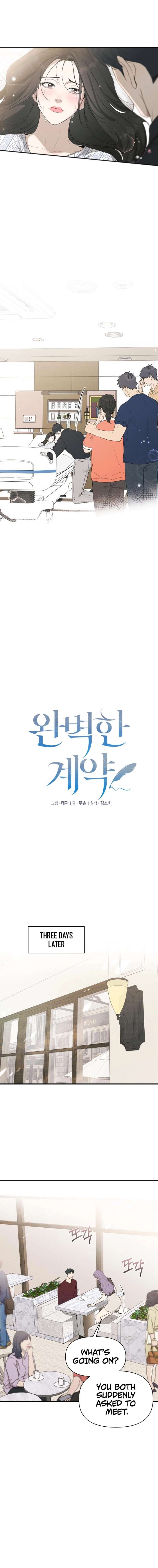 Perfect Contract Chapter 73 - Page 5