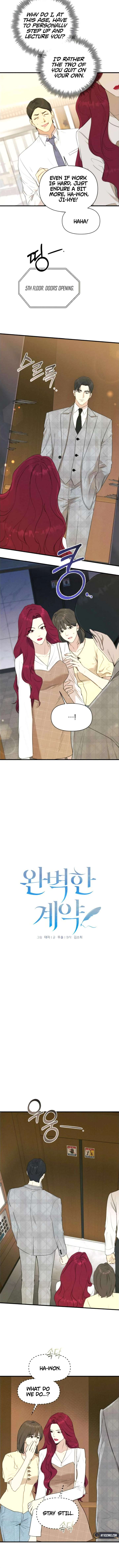 Perfect Contract Chapter 74 - Page 3