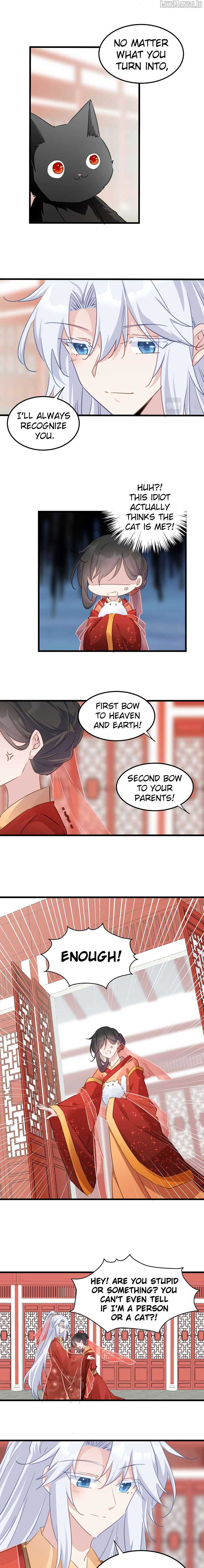 Pet the Little Princess Chapter 120 - Page 1