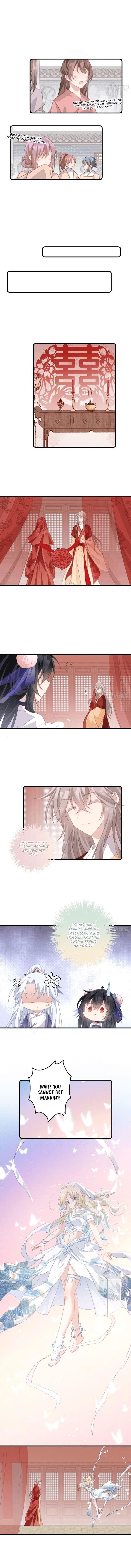 Pet the Little Princess Chapter 31 - Page 3