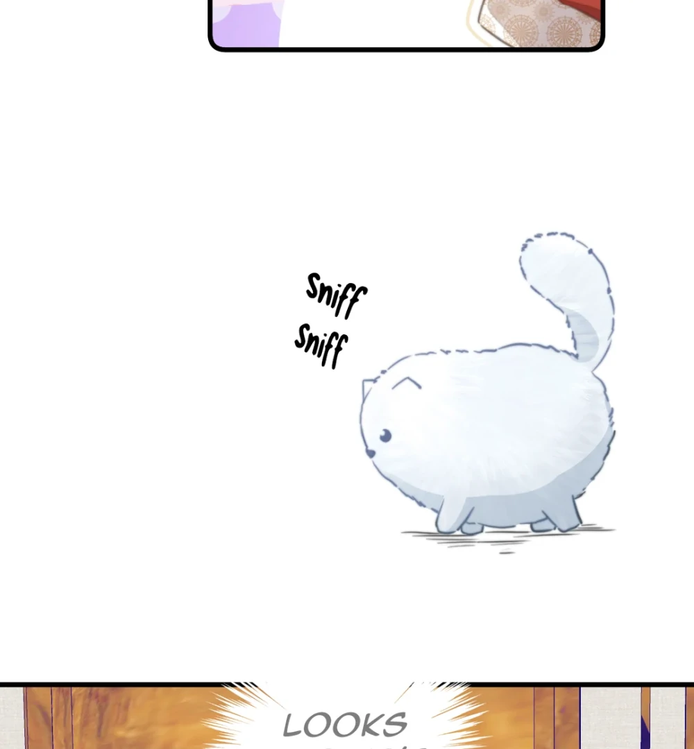 Pet the Little Princess Chapter 90 - Page 19