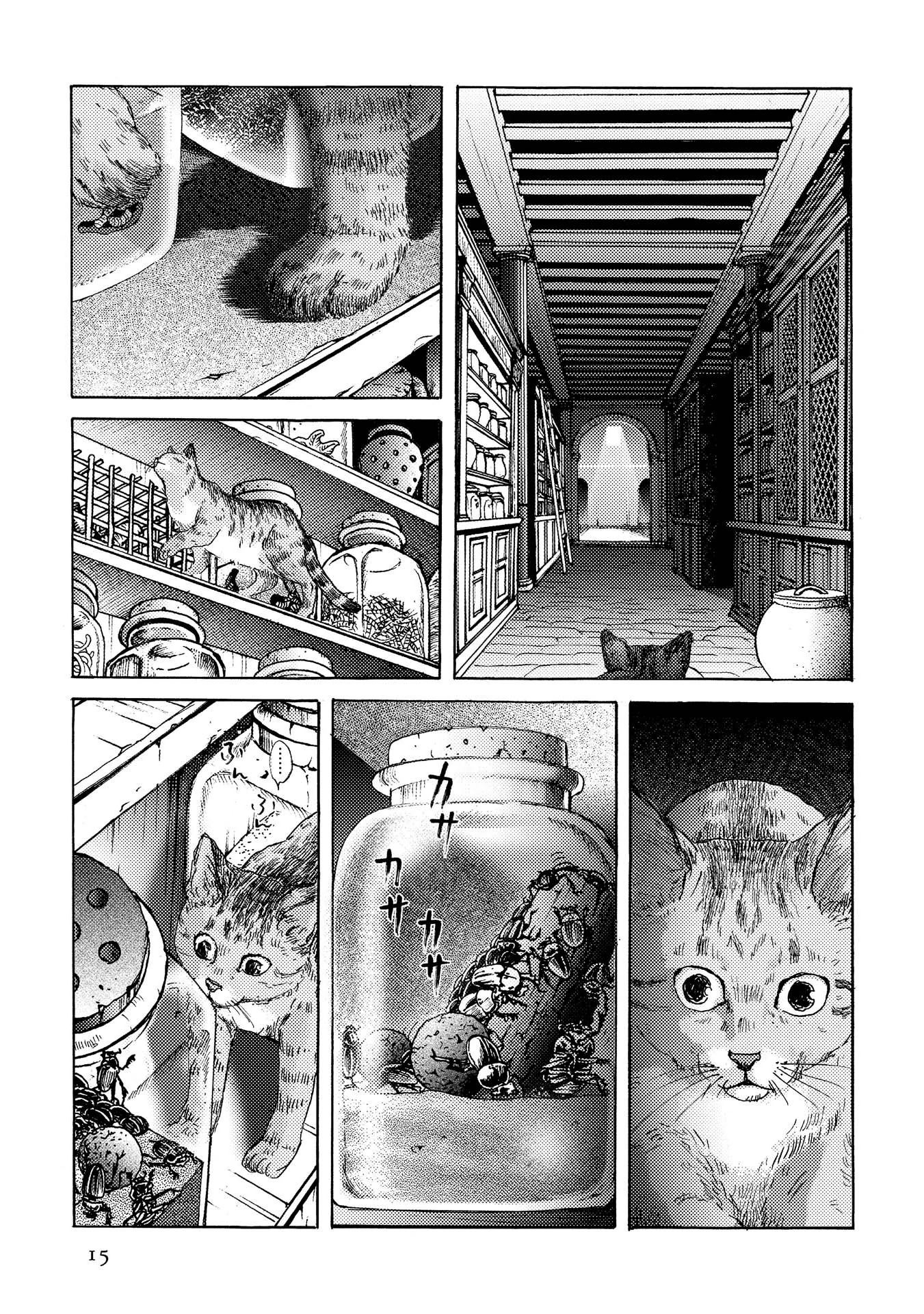 Plinivs Chapter 15 - Page 15
