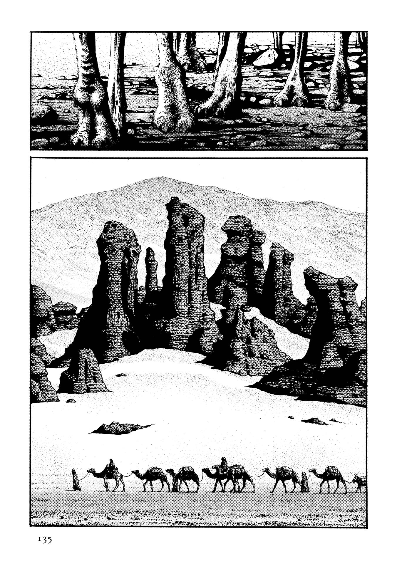 Plinivs Chapter 41 - Page 3