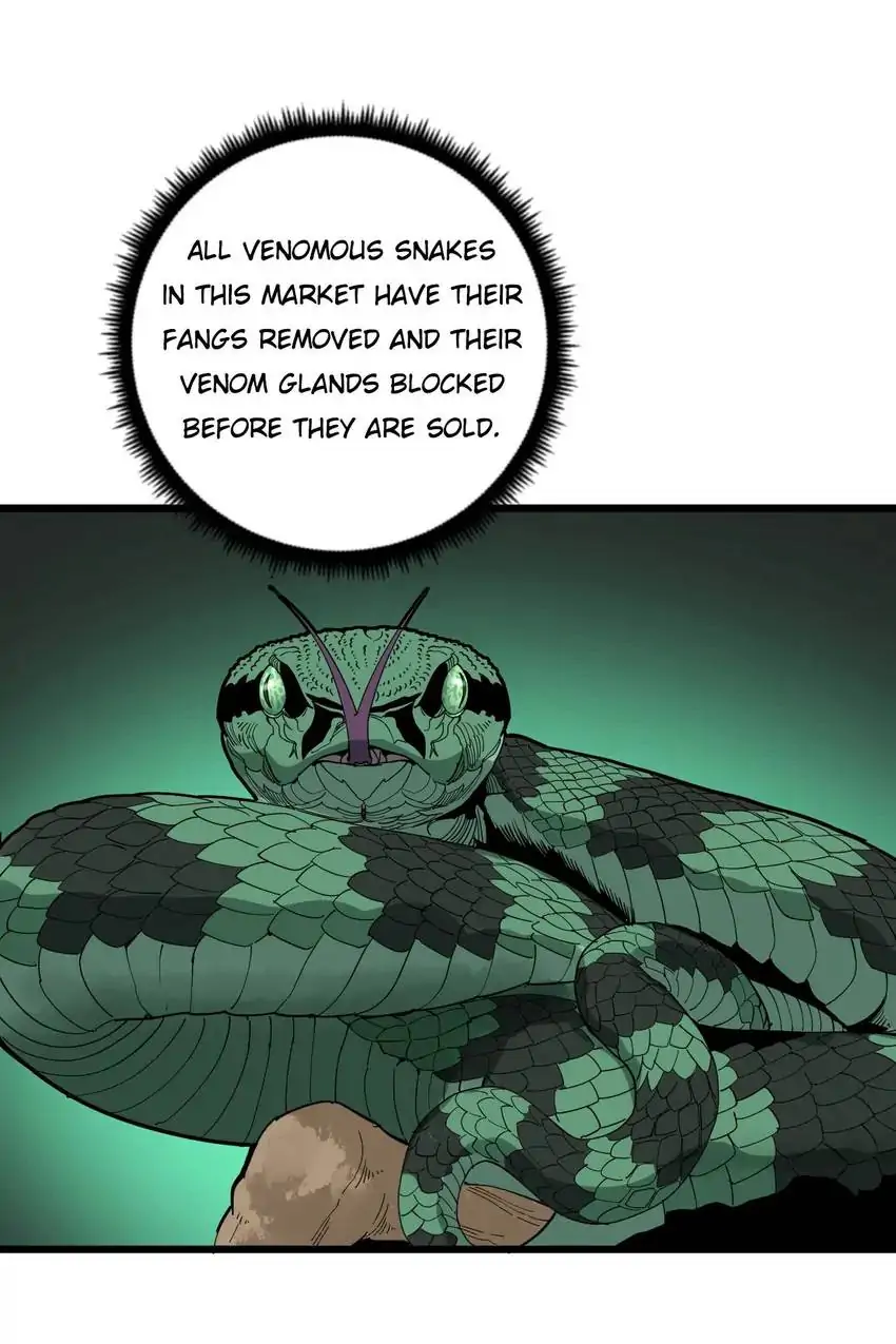 Poisonous Witch Doctor Chapter 101 - Page 12